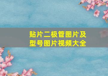 贴片二极管图片及型号图片视频大全