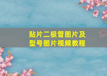 贴片二极管图片及型号图片视频教程