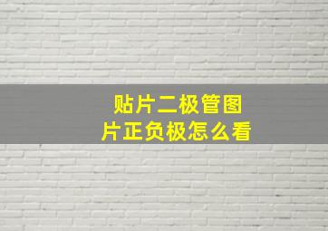 贴片二极管图片正负极怎么看