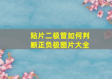 贴片二极管如何判断正负极图片大全