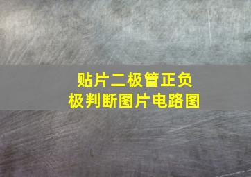 贴片二极管正负极判断图片电路图