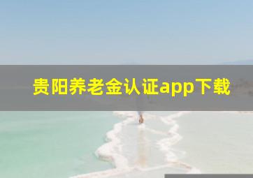 贵阳养老金认证app下载