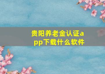 贵阳养老金认证app下载什么软件