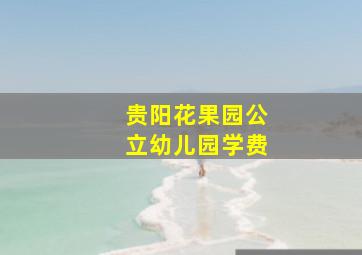 贵阳花果园公立幼儿园学费