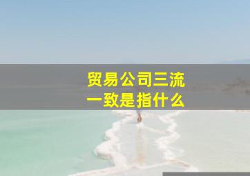 贸易公司三流一致是指什么