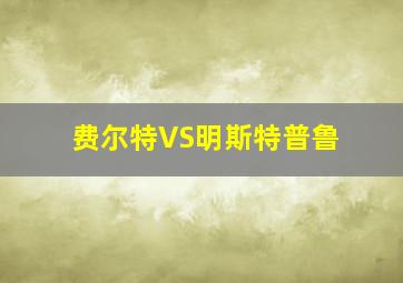 费尔特VS明斯特普鲁