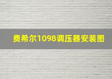 费希尔1098调压器安装图