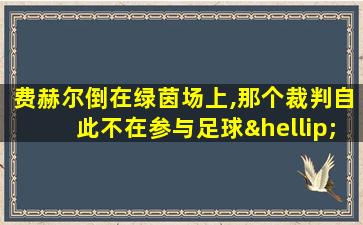 费赫尔倒在绿茵场上,那个裁判自此不在参与足球……