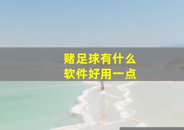 赌足球有什么软件好用一点