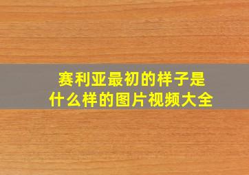 赛利亚最初的样子是什么样的图片视频大全