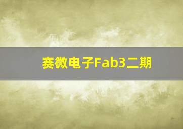 赛微电子Fab3二期