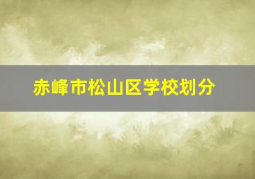 赤峰市松山区学校划分