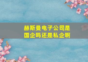 赫斯曼电子公司是国企吗还是私企啊