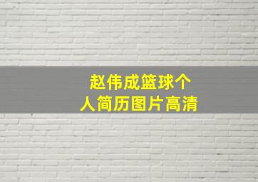 赵伟成篮球个人简历图片高清