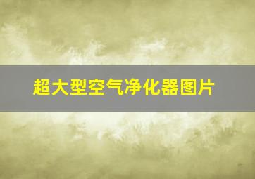 超大型空气净化器图片