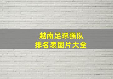 越南足球强队排名表图片大全