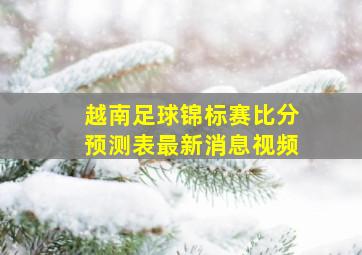 越南足球锦标赛比分预测表最新消息视频