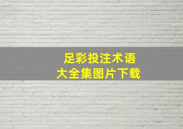 足彩投注术语大全集图片下载