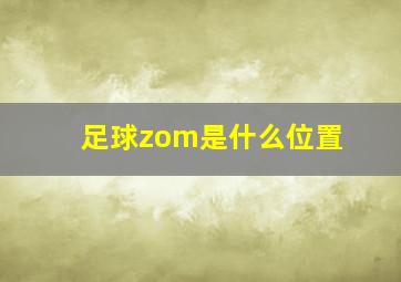 足球zom是什么位置