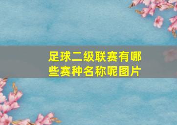 足球二级联赛有哪些赛种名称呢图片