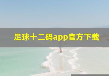 足球十二码app官方下载