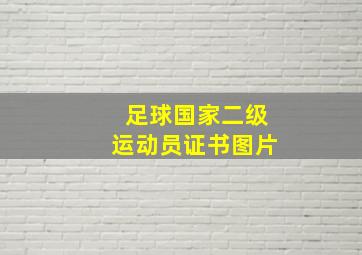 足球国家二级运动员证书图片