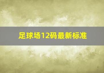 足球场12码最新标准