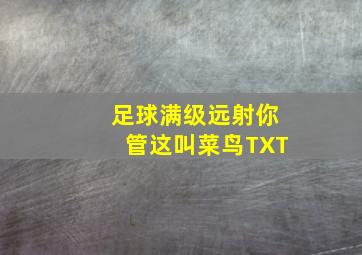 足球满级远射你管这叫菜鸟TXT