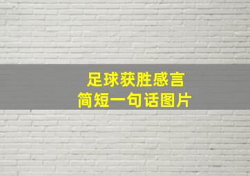 足球获胜感言简短一句话图片