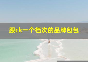 跟ck一个档次的品牌包包