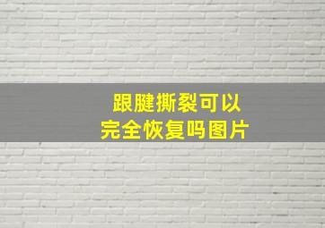 跟腱撕裂可以完全恢复吗图片