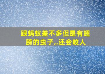 跟蚂蚁差不多但是有翅膀的虫子,.还会咬人