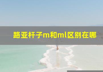 路亚杆子m和ml区别在哪