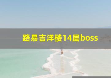 路易吉洋楼14层boss