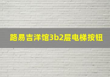 路易吉洋馆3b2层电梯按钮