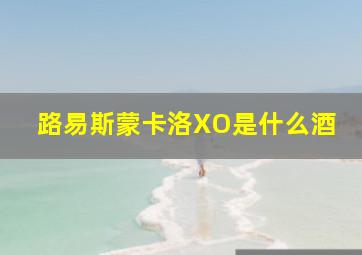 路易斯蒙卡洛XO是什么酒