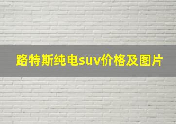 路特斯纯电suv价格及图片