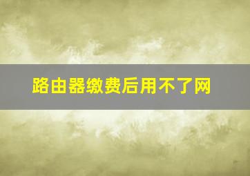 路由器缴费后用不了网