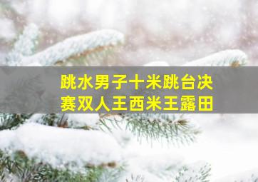 跳水男子十米跳台决赛双人王西米王露田