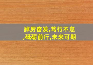 踔厉奋发,笃行不怠,砥砺前行,未来可期