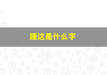 踵这是什么字