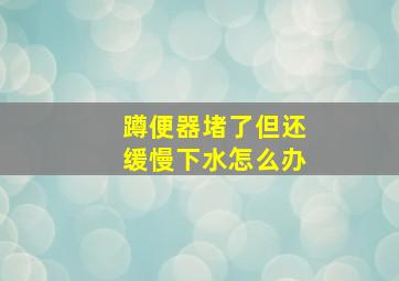 蹲便器堵了但还缓慢下水怎么办