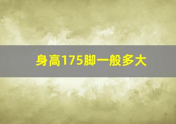 身高175脚一般多大