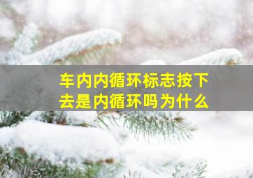 车内内循环标志按下去是内循环吗为什么