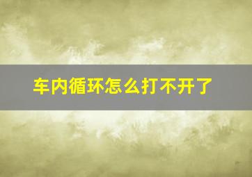 车内循环怎么打不开了