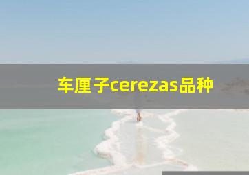 车厘子cerezas品种