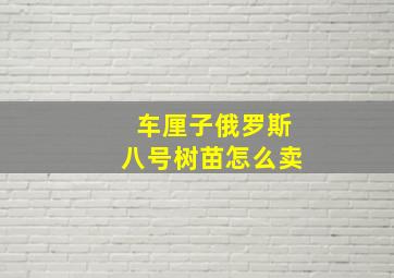 车厘子俄罗斯八号树苗怎么卖