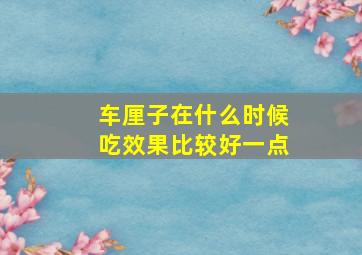 车厘子在什么时候吃效果比较好一点