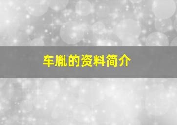 车胤的资料简介