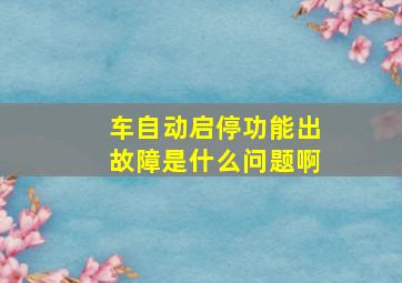 车自动启停功能出故障是什么问题啊